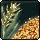 [Event] Moist Barley