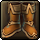 Wise Dragon's Boots